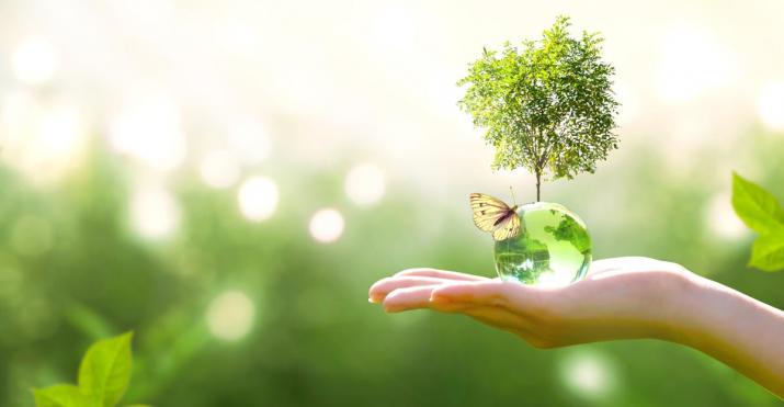 Sustainability: a photo of a hand in a green environment that holds a glass bowl out of which a tree is growing an don which a butterfly has landed Sustainability: a photo of a hand in a green environment that holds a glass bowl out of which a tree is growing an don which a butterfly has landed